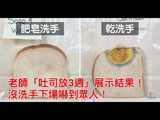 老師「吐司放3週」展示結果!沒洗手下場嚇到眾人!